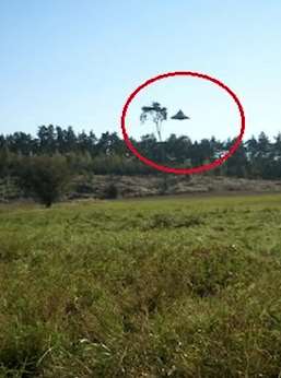 波兰男子为ufo恶作剧道歉 那只是玩具而已