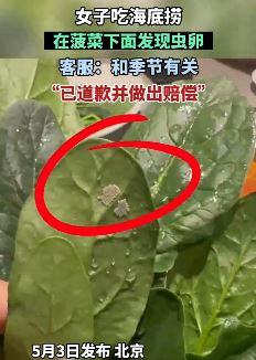 女子吃海底捞 菠菜下面发现虫卵