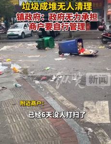 湖南湘潭一小镇街道垃圾成堆无人清理 镇政府：无力承担