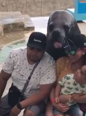 动物与人类的互动，搞笑又可爱！