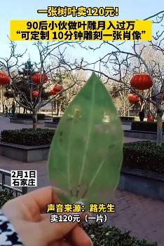一张树叶卖120元 石家庄90后小伙做叶雕月入过万