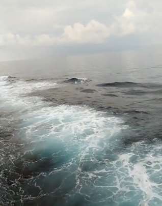 带你看看百慕大三角到底有没有传说中的那么神秘！