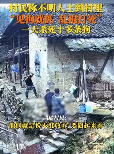 湖南一地放养的狗都被打死引村民不满