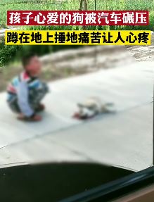 爱狗被碾压致死 男孩路边捶地痛苦