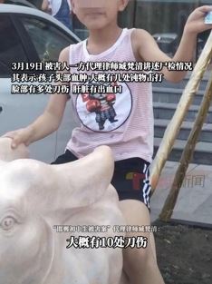 邯郸初中生被害案律师描述尸检情况：惨无人道，令人发指！