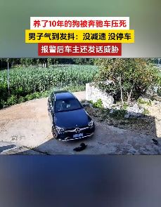 男子养了10年的狗被奔驰车压死 报警后车主发话威胁