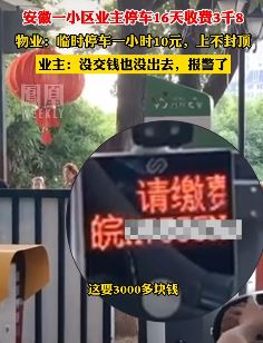 安徽一小区业主停车16天收费3890元 物业：每小时10元，上不封顶