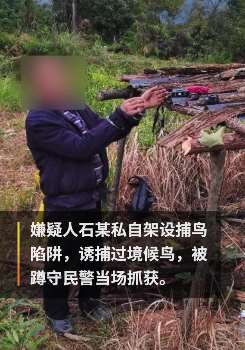 贵州一男子林区设陷阱捕鸟食用被抓