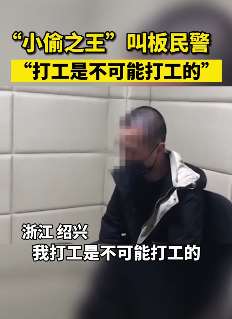 浙江"小偷之王"被抓 自称：打工是不可能的