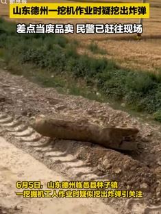 山东德州一挖机作业时疑挖出炸弹 工人差点当废品卖了