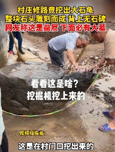 河南焦作一村庄修路挖出大石龟