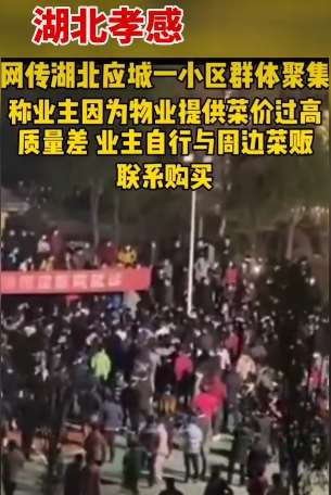 湖北孝感回应100多人在小区聚集