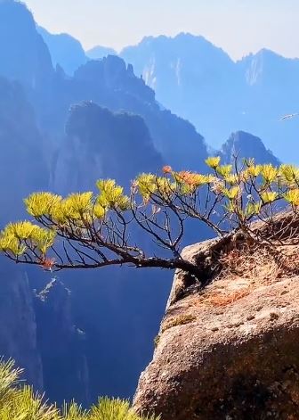 你知道这风景如画的地方是哪里吗？