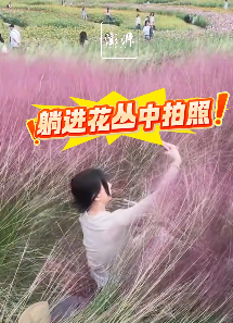 上海滨江森林公园游客踩踏粉黛"打卡"不听劝