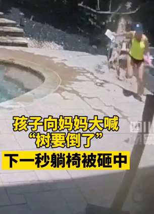 女子躺椅乘凉险被大树砸中 多亏儿子提醒及时