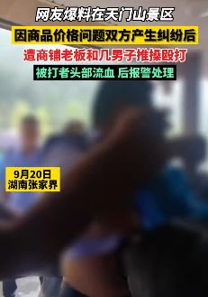 网友曝天门山景区一商铺老板与几名男子殴打他人