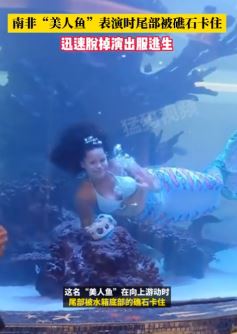 南非“美人鱼”表演时尾部被礁石卡住 表演者迅速脱掉演出服逃生