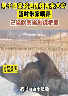 吉林通化一男子农村赶礼回家路上遇1米多高大鸟