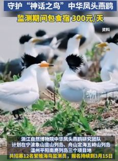 浙江招募12名海鸟监测员 每天300保食宿