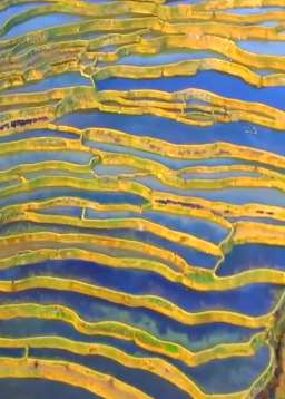 云南元阳县万亩哈尼梯田色彩斑斓美如画