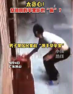 佛山2男子把祭祖用的苹果"偷"走