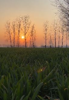分享乡间美景,回忆童年的美好时光!