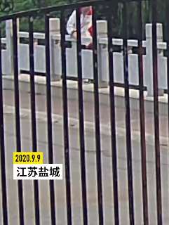 初三女生学习压力大跳河轻生 幸遇值班保安相救