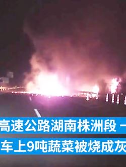 装有9吨蔬菜货车高速上自燃 损失超20万