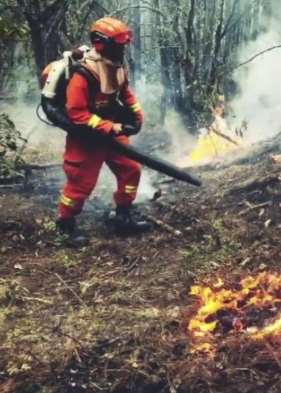 云南龙蟠乡发生森林火灾 上千人参与扑救