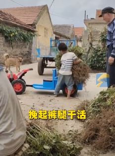 4岁萌娃开玩具拖拉机帮姥爷收花生 网友：自已的车干活就是卖力