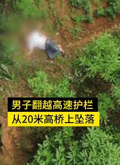 男子高速翻护栏小便不慎坠桥