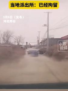 河北邢台一男子偷狗后驾车一路狂飙