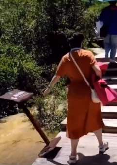 大妈爬山接连推倒景区指示牌