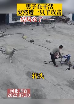 男子在家干活时突然被羊攻击 一招将其制服