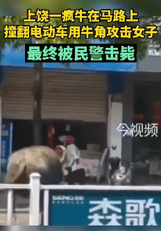疯牛街头撞人被民警击毙