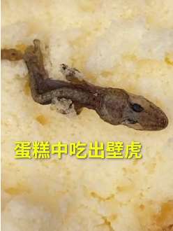 太恶心！超市散称蛋糕竟吃出壁虎"干尸"！