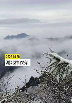 湖北神农架迎降雪，神农顶景区雪景美如画！