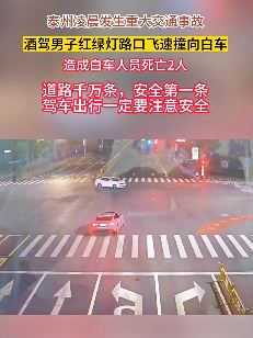 江苏泰州一男子酒驾闯红灯发生事故致2人死亡