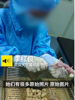 研究喝茶抗癌获奖小学生父亲被武大免职