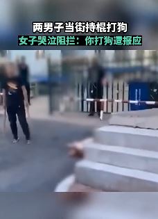 2男子当街持棍打狗被女子哭泣阻拦