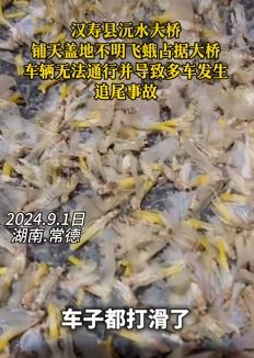 湖南汉寿县沅水大桥惊现大量飞蛾致多车发生追尾