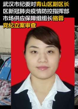 武汉市纪委对青山区副区长骆蓉党纪立案审查