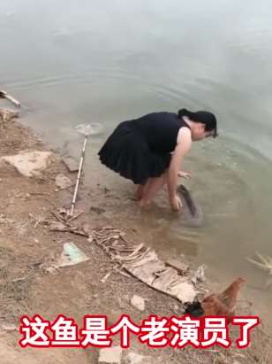 这条鱼是个老演员了，看来骗了不少小姐姐！
