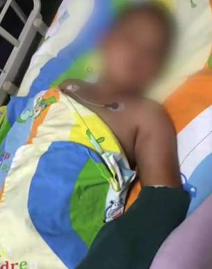 九岁男童被蛇咬险丧命