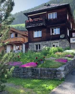 想不想在这样的环境里生活呢？