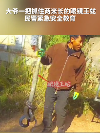 云南一大爷地里徒手抓2米多长眼镜王蛇交民警