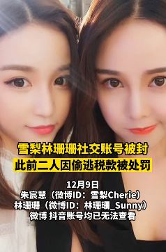 网红雪梨、林珊珊社交账号被封 二人曾因偷逃税款被处罚