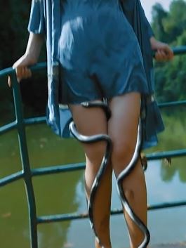 尹子维主演国产惊悚片《狂蟒之灾》定档3.1  真实感让人毛骨悚然！