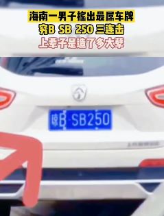 海南一男子摇出最"屌"车牌 穷B、傻B、250三连击车牌号