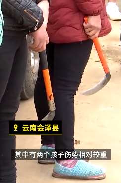 野猴袭击村民咬伤儿童，家长带镰刀护娃上下学